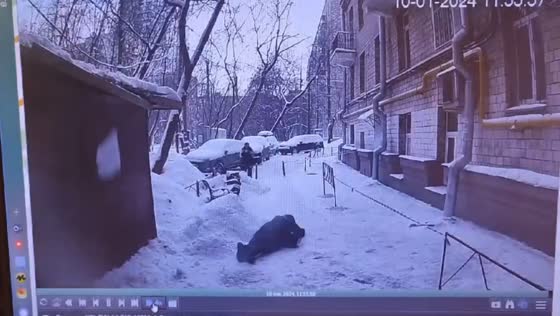 Ice block collapse injures woman in Moscow