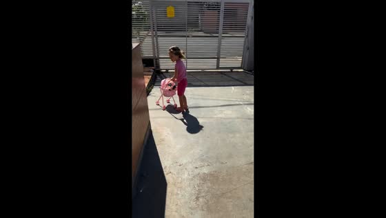 Girl carries puppy in stroller in Londrina, Paraná, Brazil