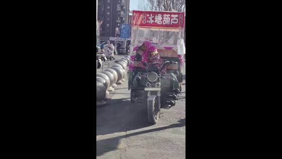 Dog dressed in aunt-style outfit sitting on tricycle in Liaoning, China