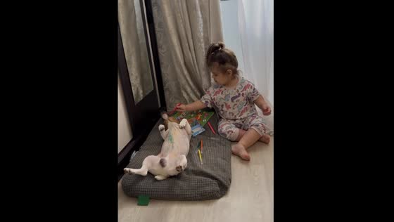 Mom's shocking discovery: daughter's Jack Russell Terrier gets a colorful makeover with markers
