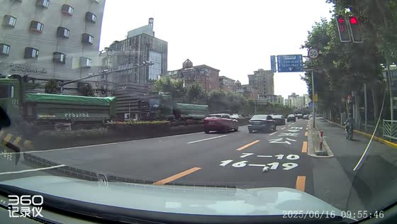 Dashcam captures cat stranded in traffic before rescue in Shanghai, China