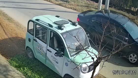 Car accident in Jiangsu Province damages trees outside author's house