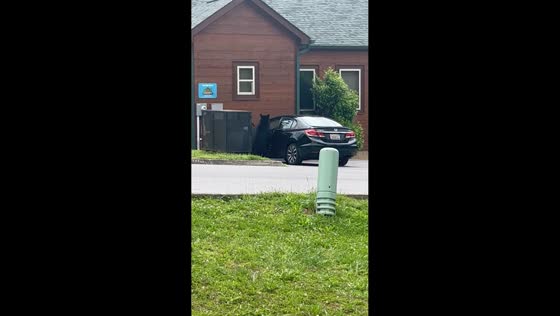 Two bears caught entering car in Gatlinburg, Tennessee, USA