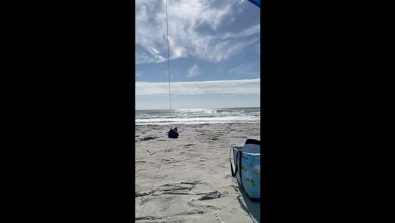 Peaceful seaside view under sunny skies in Huntington Beach State Park, South Carolina, USA