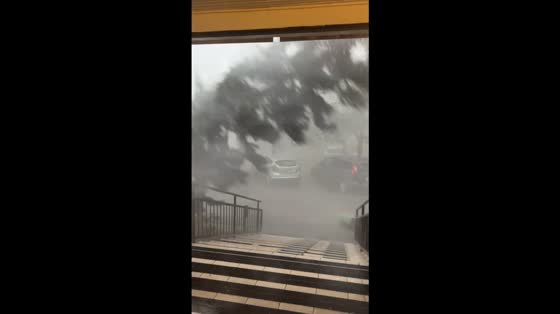 Strong winds and heavy rain bring down tree in Debrecen, Hungary
