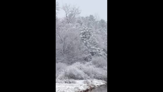 Late-season snowfall blankets Altmar in winter-like scene in New York, USA