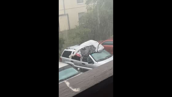 Man climbs onto car to protect sunroof during hailstorm in Palm Bay, Florida, USA