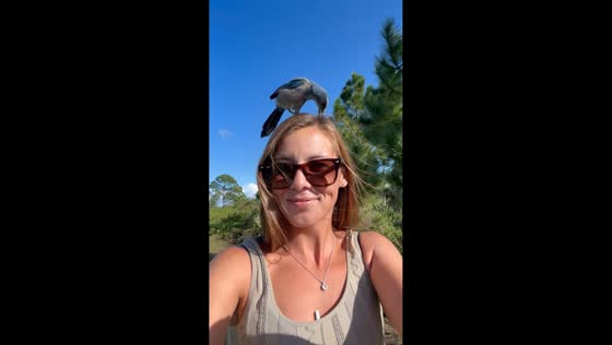 Bird playfully perches on woman’s head in Rockledge, Florida, USA