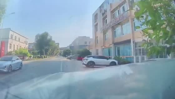 SUV crashes into roadside tree during smart driving incident in Sichuan, China