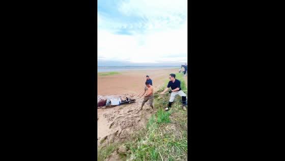 Horse rescued after becoming trapped in deep mud along Yellow River flats in Henan, China