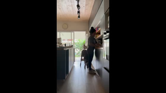 Calf accidentally opens and kicks pantry door shut, Tucumán, Argentina