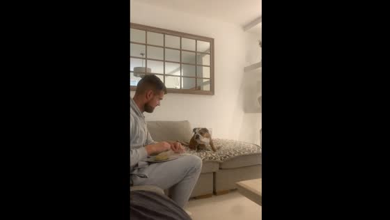 Dog wakes up instantly as owner tries to quietly open food in Lisburn, UK