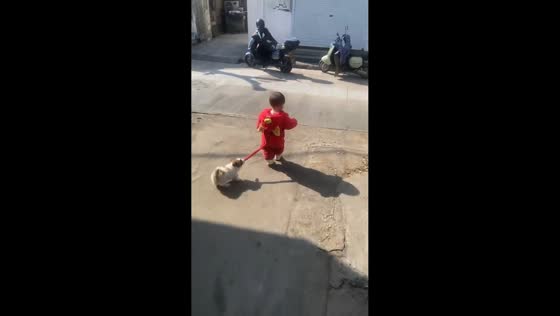 Puppy tries to stop toddler from walking away in Zhejiang, China