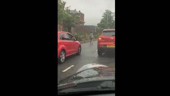 Lady chases goose causing traffic delay in Ashton, Manchester