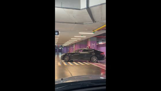 Self-parking car amuses driver in underground parking in Jiangxi, China