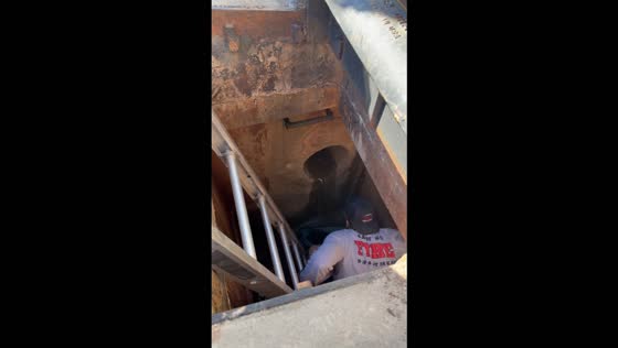 Firefighters rescue kitten trapped in a drainage pipe after three days in Cary, USA