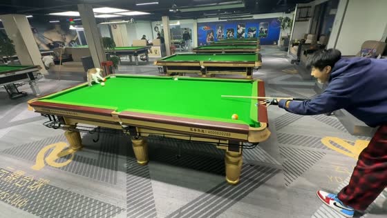 Cat playfully joins pool game in Shanghai, China