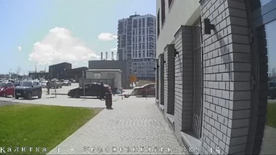 Six-year-old injured by car while fleeing stray dog in Tyumen, Russia