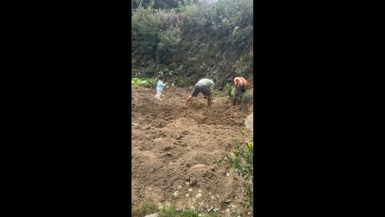 Child startles man while digging with a hoe in Hebei, China