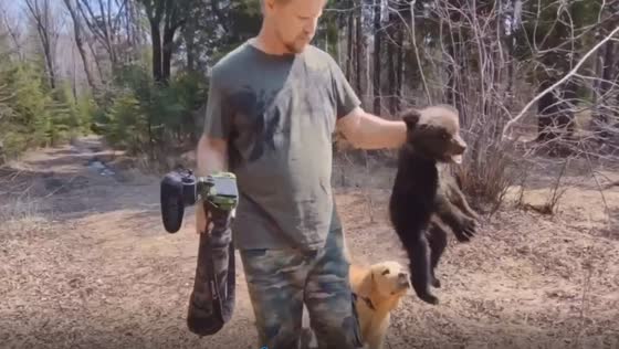 Heroic dog leads owners to emaciated bear cub in Irkutsk