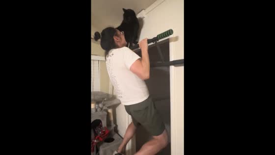 Personal trainer cat delays pull-up finish in hilarious video