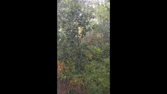 Heavy downpour with huge raindrops in Stockholm, Sweden