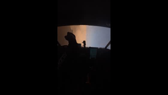 Off-road buggy loses control on loose sand in Al Qassim, Saudi Arabia