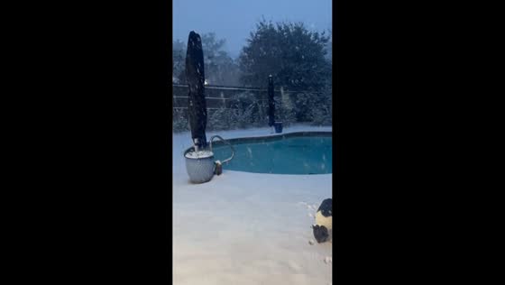 Record-breaking snowfall blankets Dothan, Alabama, USA