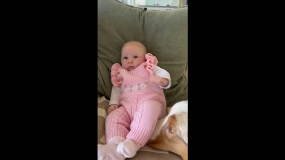 Family dog gently lifts baby's leg while curiously sniffing her diaper in Townsville, Australia