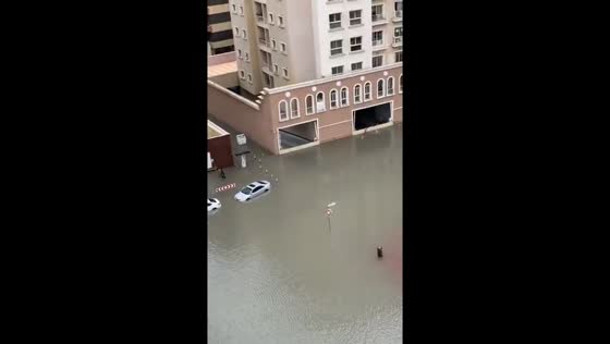 Cars submerged by flash flooding in Al Nadah, Dubai, UAE