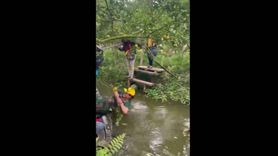 Boat sways, woman falls in Đồng Tháp Garden visit