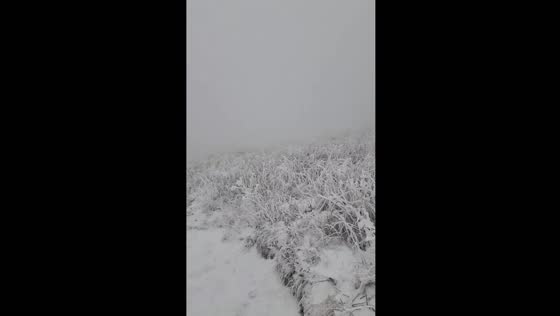 Snowfall captured on Big Bald, Yancey County, USA