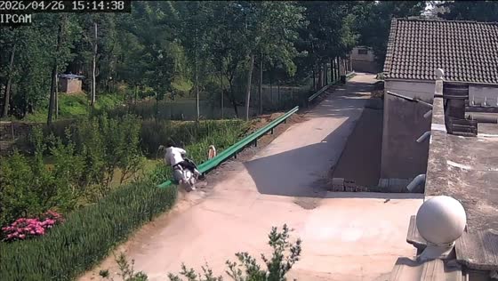 E-scooter rider crashes into roadside barrier in Anhui, China