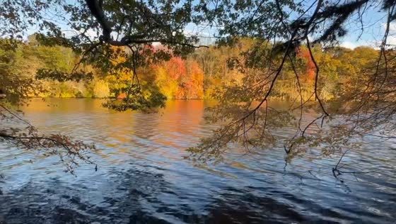 Fall foliage along the river in Rhode Island, USA