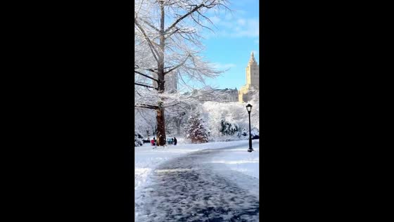 Light snow covers Central Park during calm winter morning in Manhattan, USA