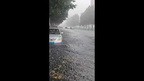 Heavy rain causes widespread street flooding in Shandong, China