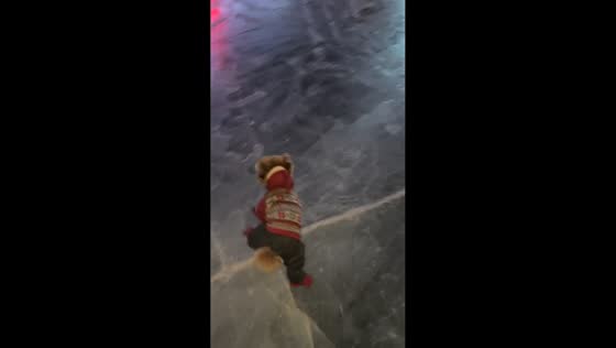 Dog enjoys a playful nighttime run on frozen ground in Heilongjiang, China