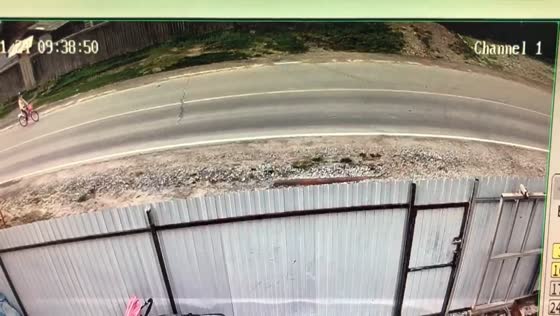 Cyclist falls into path of car and is struck in Pereyaslavka, Russia