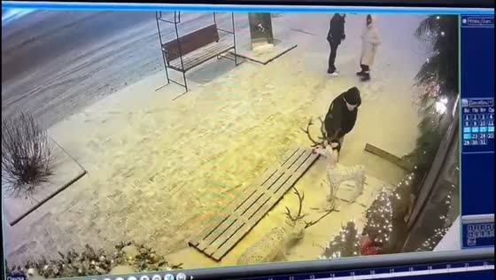 Deer figurine stolen from restaurant in Krasnoyarsk, Russia