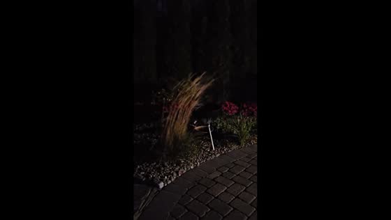 Strong winds sweep through New Jersey after recent storm in USA