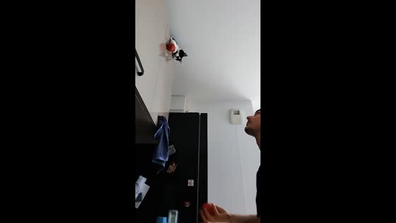 Cat joins a playful ball-juggling game in Conflans-Sainte-Honorine, France