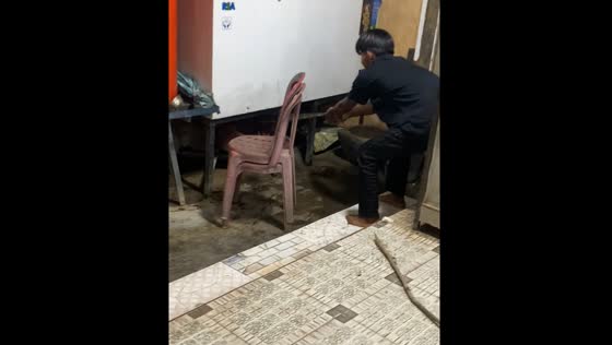 Monitor lizard removed from home in Indonesia