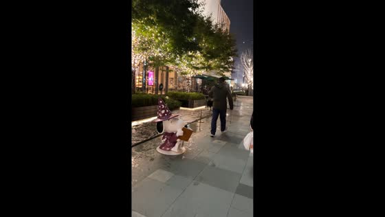 Dog escapes fountain area and runs off, leaving owner scrambling in Jiangsu, China