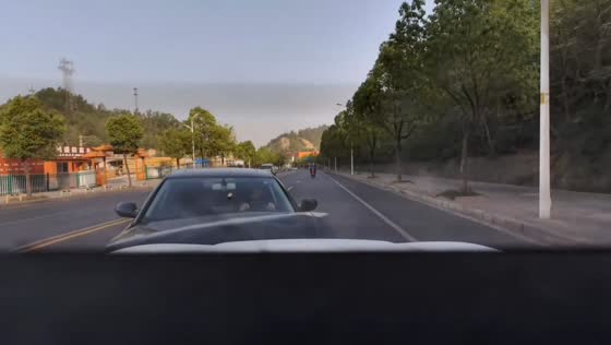 Dashcam captures head-on collision with car crossing lane in Hubei, China
