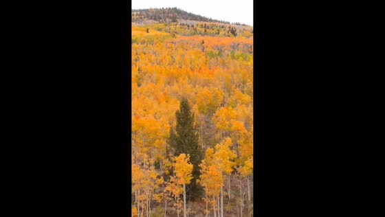 Autumn foliage paints the hills of Utah, USA