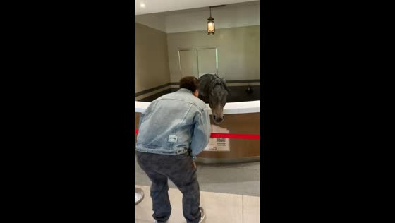 Man mimics bowing horse in playful sync in Tianjin, China