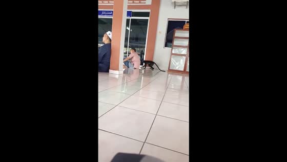 Monkey quietly joins group during Friday prayer in Simpang Renggam, Johor, Malaysia