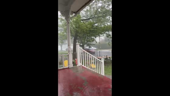 Powerful winds uproot trees during severe thunderstorm in New Jersey, USA