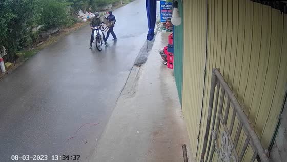 Disturbing footage: brazen dog theft caught on camera in Nam Truc District, Vietnam