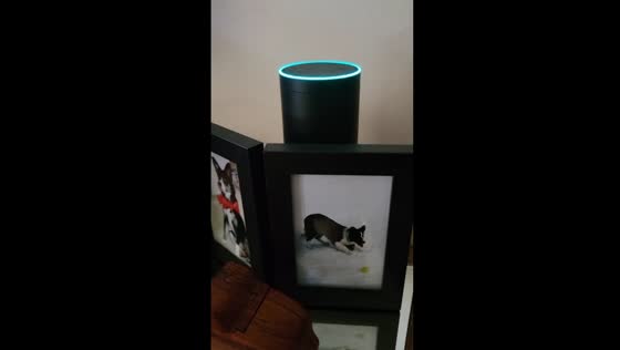 Amazon Alexa shares controversial claims about 2020 presidential election fraud
